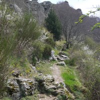 Photo de france - La randonnée du Mont Caroux